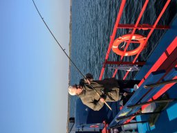 Competities HSV Alfheim